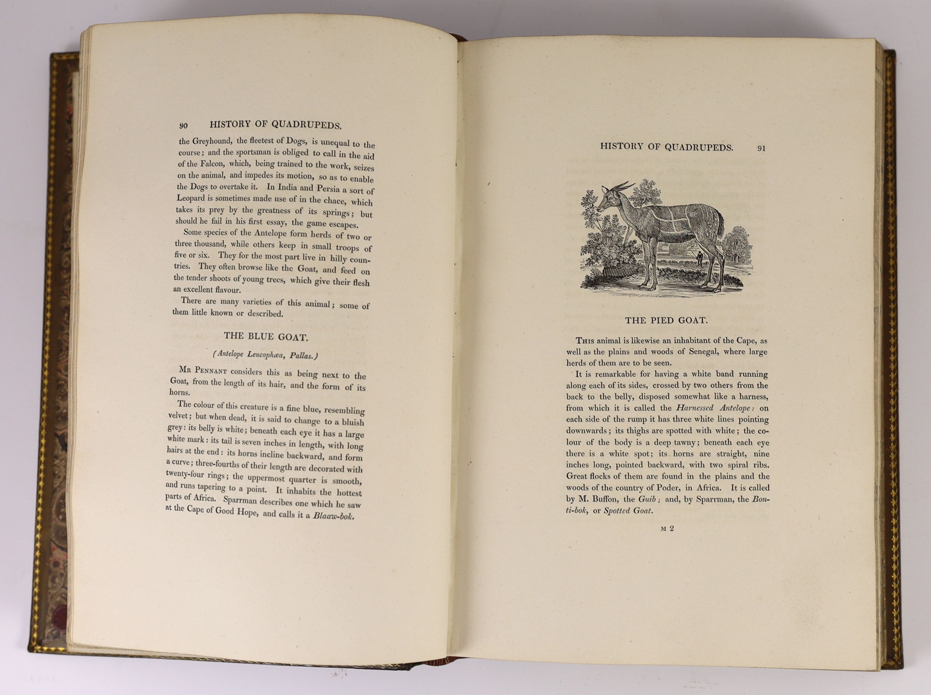 Bewick, Thomas - A General History of Quadrupeds, 7th edition, 8vo, diced calf rebacked, Newcastle, 1820